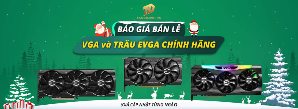 Tân Doanh