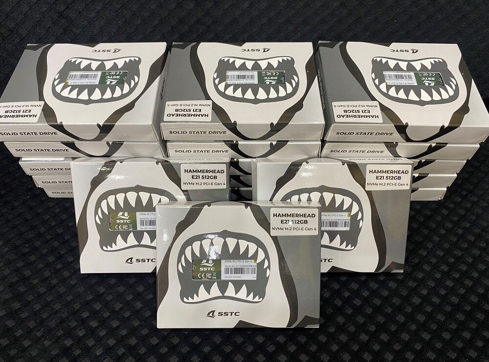 SSTC E21 512GB SSTC HAMMERHEAD E21 512GB - PCIe 4.0 x4 NVMe M.2