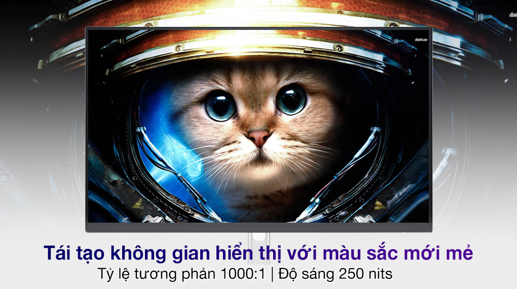 Tân Doanh