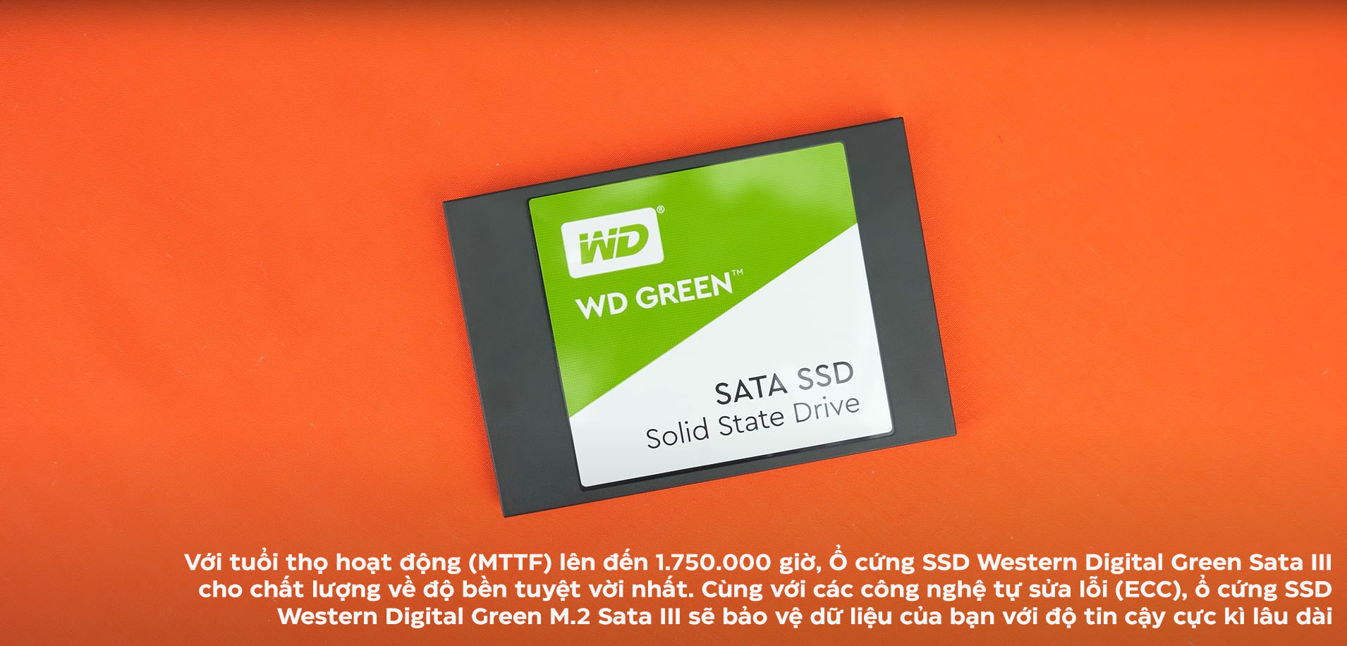 WD Green 240GB WDS240G3G0A - 2.5 Inch SATA III SSD WD Green 240GB WDS240G3G0A - 2.5 Inch SATA III SSD