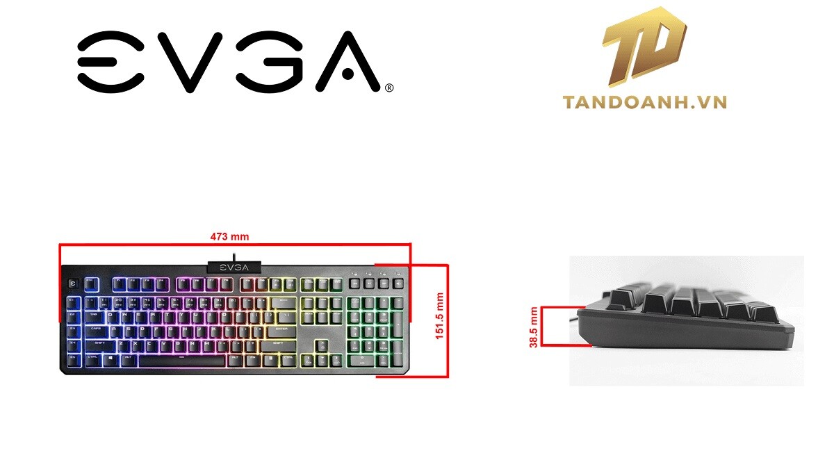 EVGA Z12 - RGB Gaming Keyboard - RGB Backlit LED - 5 Programmable Macro Keys - Dedicated Media Keys - Water Resistant