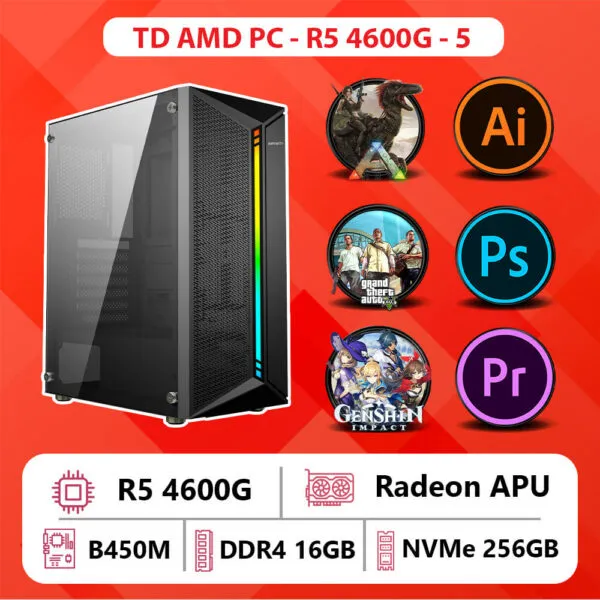 TD AMD PC (R5-4600G, B450M, Ram 16GB, SSD 250GB)