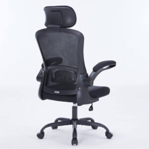 WARRIOR – Pawn series – WEC106 Black - Ghế công thái học ergonomic