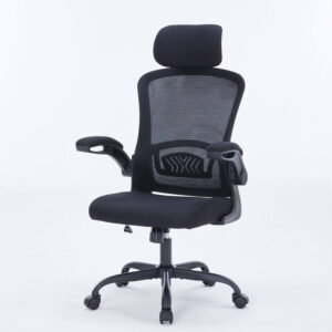 WARRIOR – Pawn series – WEC106 Black - Ghế công thái học ergonomic