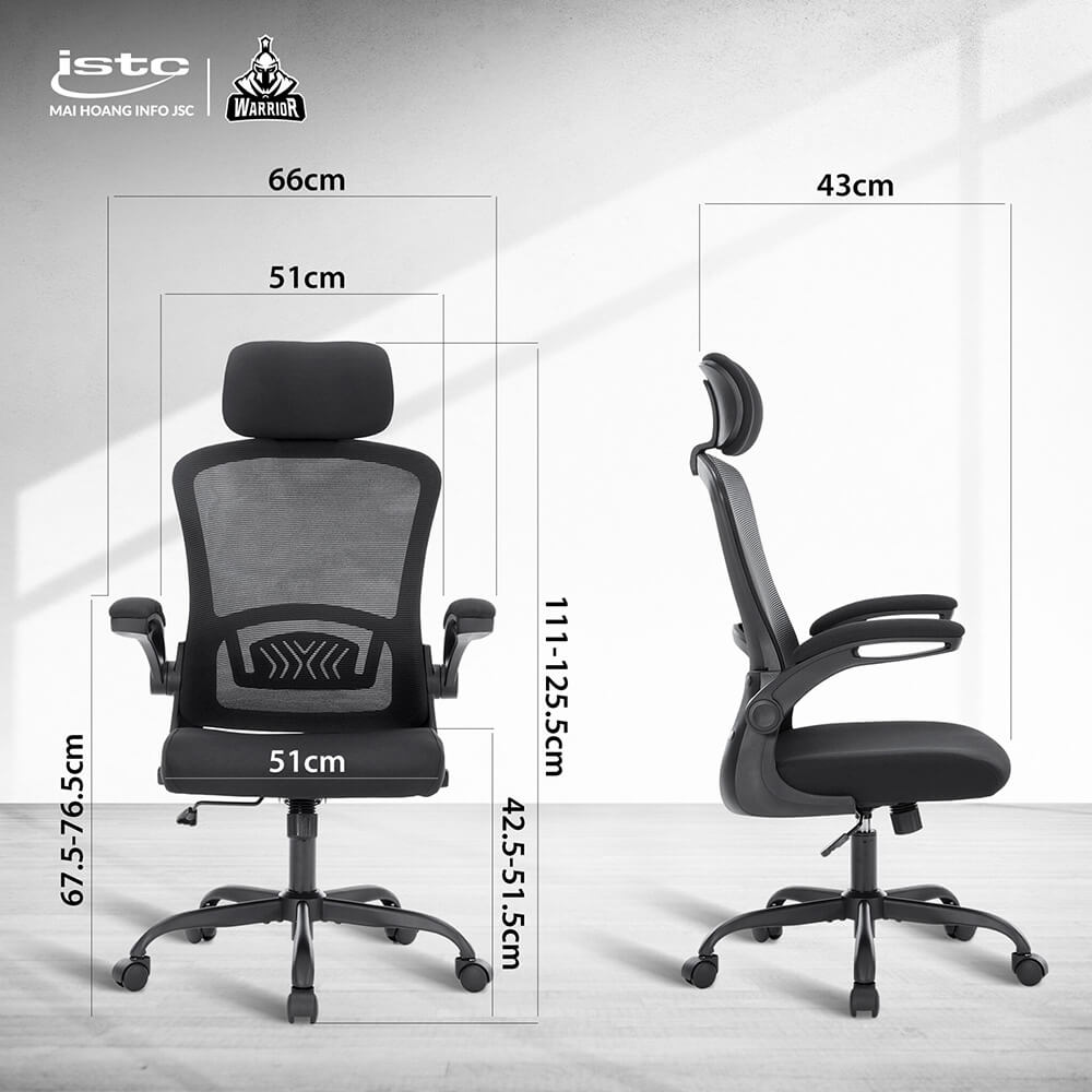 WARRIOR – Pawn series – WEC106 Black - Ghế công thái học ergonomic