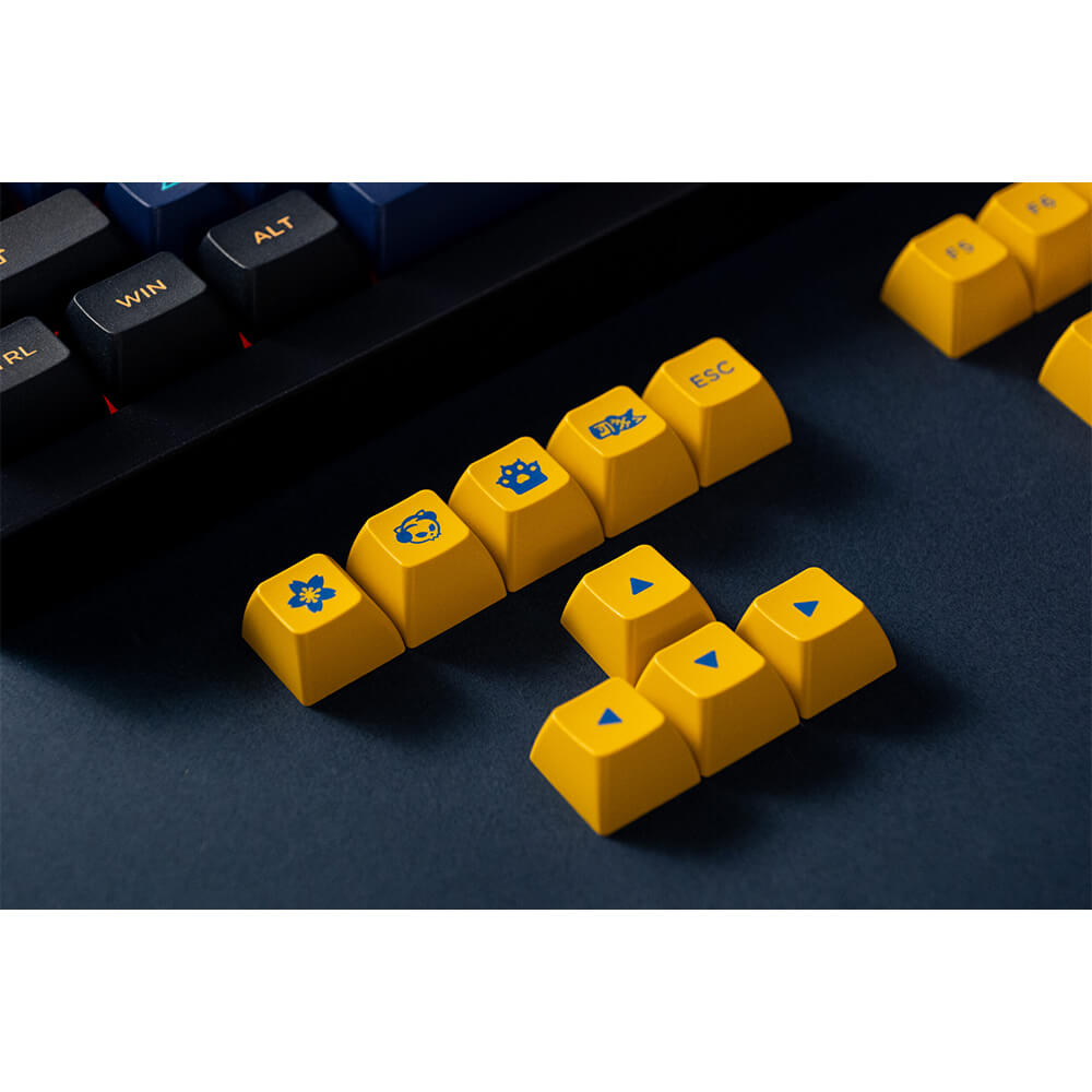 AKKO 5075B Plus Horizon H6 AKKO 5075B Plus Horizon - Multi-modes / RGB / Hotswap / Gasket mount / South Facing - Ảnh 7