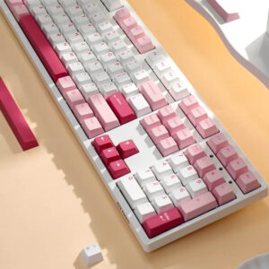 AKKO 3108 RF V3 Prunus Lannesiana Frost H2 AKKO 3108RF V3 Prunus Lannesiana (Dual-mode / AKKO Frost Pink Switch) - Gaming Keyboard