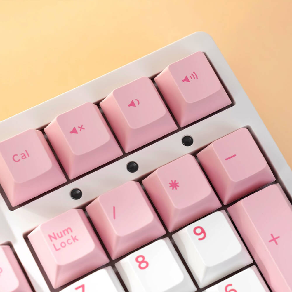 AKKO 3108 RF V3 Prunus Lannesiana Frost H7 AKKO 3108RF V3 Prunus Lannesiana (Dual-mode / AKKO Frost Pink Switch) - Gaming Keyboard - Ảnh 6